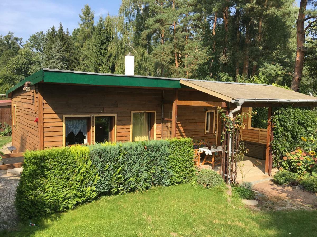 Holzhaus Trollbluemchen Am Wald Und See Нойрупин Екстериор снимка