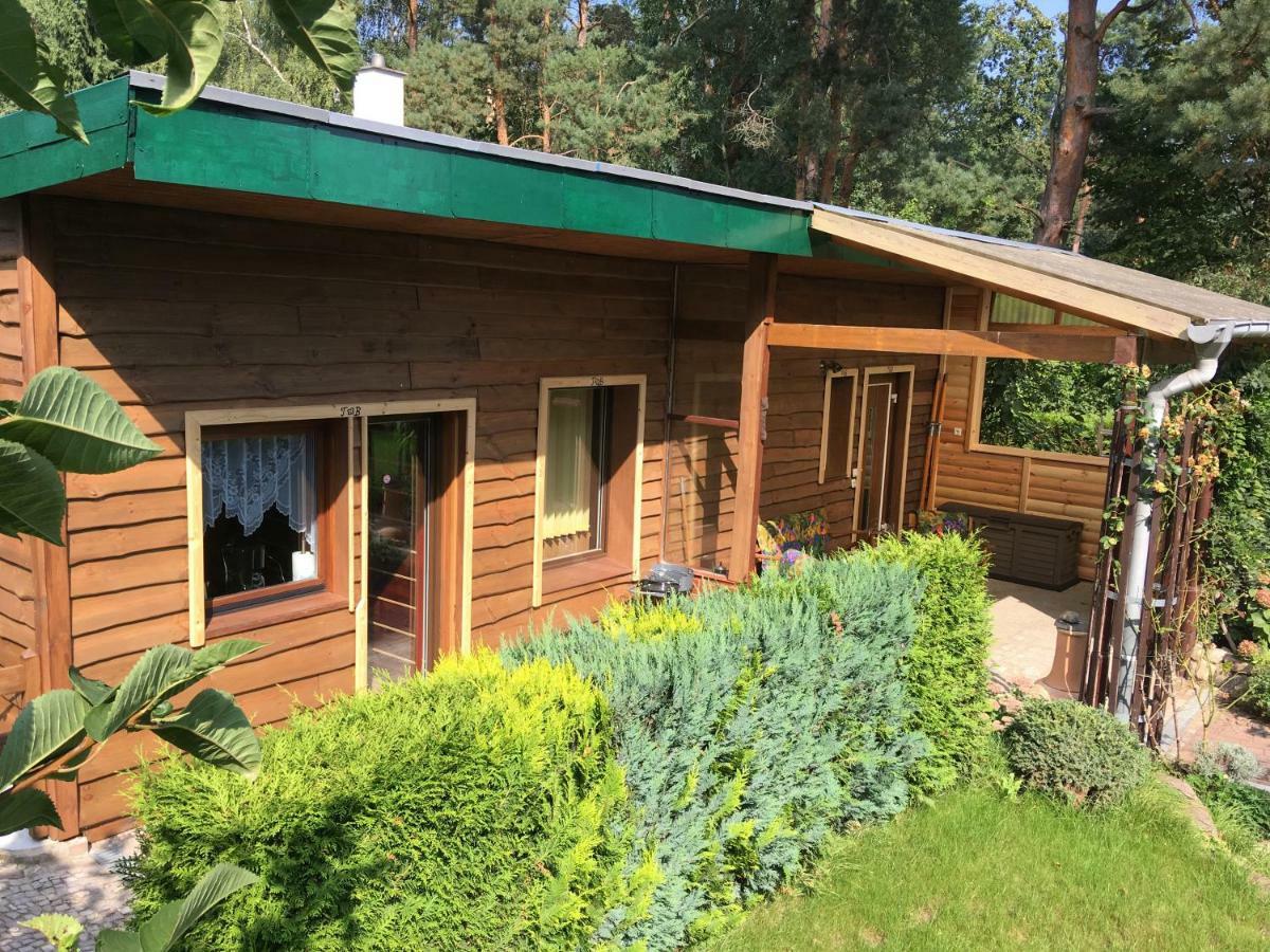 Holzhaus Trollbluemchen Am Wald Und See Нойрупин Екстериор снимка